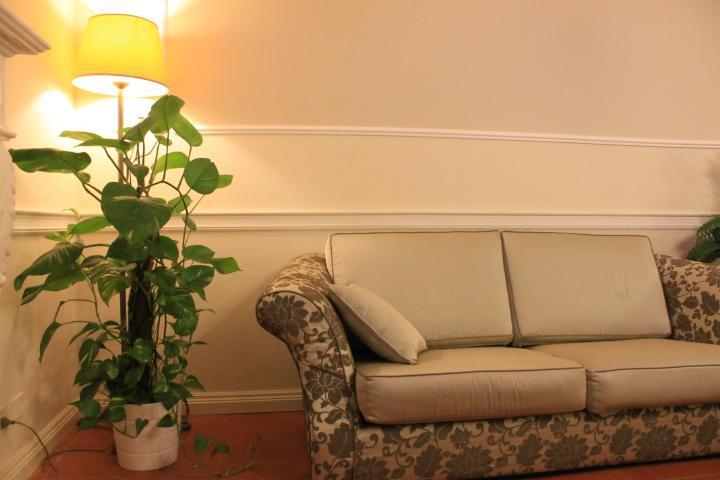 Hotel Coluccini Marina di Pietrasanta Zewnętrze zdjęcie